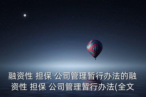 擔保公司制度