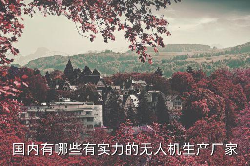 國內(nèi)有哪些有實力的無人機(jī)生產(chǎn)廠家