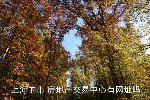 上海房地產成交查詢,2023年上海房地產成交情況