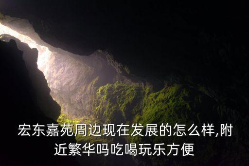  宏?yáng)|嘉苑周邊現(xiàn)在發(fā)展的怎么樣,附近繁華嗎吃喝玩樂(lè)方便