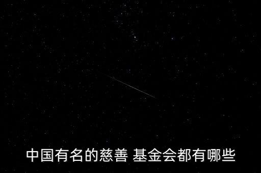 國內(nèi)大型基金會(huì),國內(nèi)基金會(huì)的發(fā)展現(xiàn)狀
