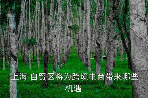  上海 自貿(mào)區(qū)將為跨境電商帶來(lái)哪些機(jī)遇