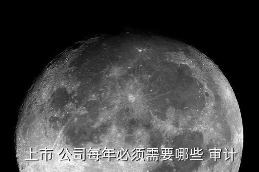  上市 公司每年必須需要哪些 審計