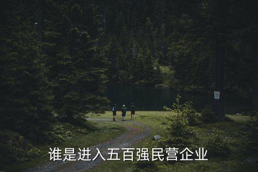 誰(shuí)是進(jìn)入五百?gòu)?qiáng)民營(yíng)企業(yè)
