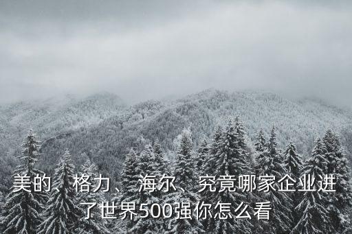 美的、格力、 海爾、究竟哪家企業(yè)進(jìn)了世界500強(qiáng)你怎么看