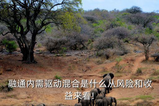  融通內(nèi)需驅(qū)動混合是什么從風(fēng)險(xiǎn)和收益來看!