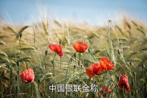 中國(guó)銀聯(lián)全稱