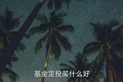  基金定投買什么好