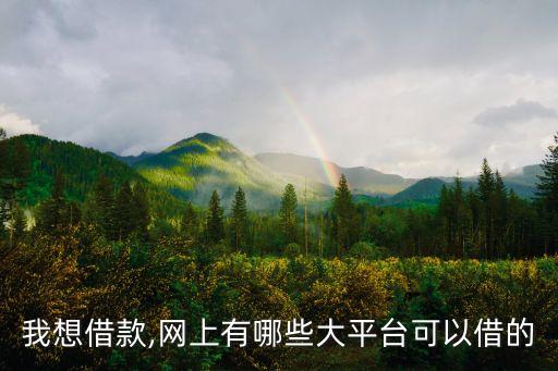 我想借款,網上有哪些大平臺可以借的