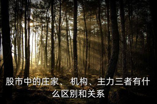 股市中的莊家、 機構(gòu)、主力三者有什么區(qū)別和關(guān)系