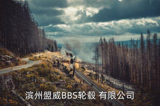 渤海活塞股份有限公司市場(chǎng)總監(jiān),山東濱州渤?；钊煞萦邢薰菊衅?/></a></span><span id=