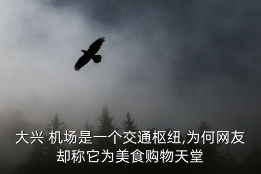 大興 機場是一個交通樞紐,為何網(wǎng)友卻稱它為美食購物天堂