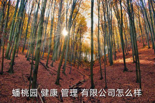關于健康管理有限公司,深圳國康健康管理服務有限公司