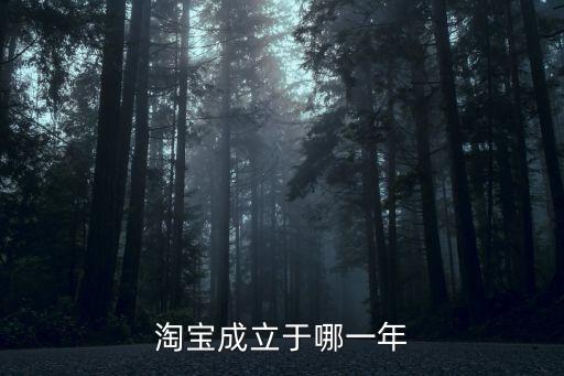 中國第一個第三方網(wǎng)購平臺是什么