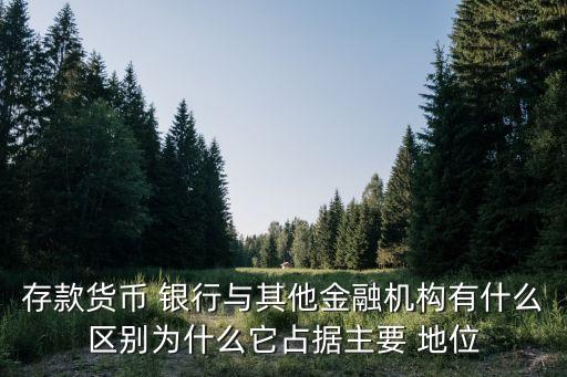 存款貨幣 銀行與其他金融機構(gòu)有什么區(qū)別為什么它占據(jù)主要 地位