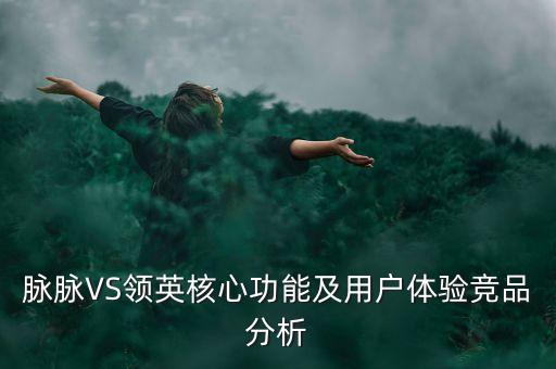 脈脈VS領(lǐng)英核心功能及用戶(hù)體驗(yàn)競(jìng)品分析
