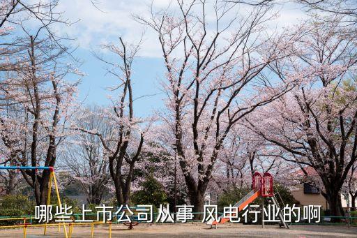 華銳風(fēng)電股份有限公司,北京華銳風(fēng)電集團股份有限公司