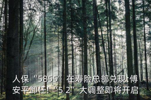 人?！?855”在壽險(xiǎn)總部?jī)冬F(xiàn):傅安平卸任!“5 2”大調(diào)整即將開(kāi)啟