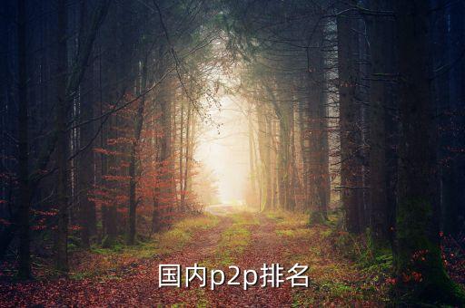 國內p2p排名