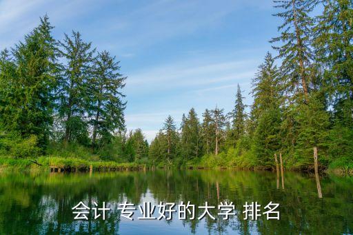 會(huì)計(jì) 專(zhuān)業(yè)好的大學(xué) 排名