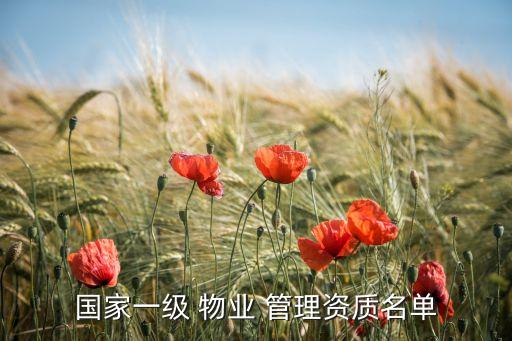 國家一級 物業(yè) 管理資質名單
