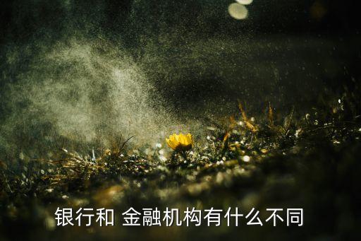 銀行和 金融機(jī)構(gòu)有什么不同