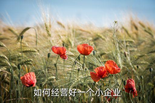如何經(jīng)營好一個(gè)小企業(yè)