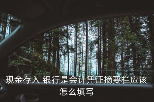 現(xiàn)金存入 銀行是會計憑證摘要欄應該怎么填寫
