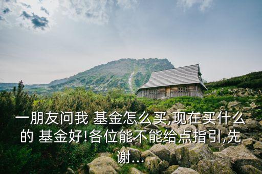 一朋友問(wèn)我 基金怎么買(mǎi),現(xiàn)在買(mǎi)什么的 基金好!各位能不能給點(diǎn)指引,先謝...