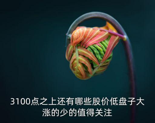 3100點之上還有哪些股價低盤子大漲的少的值得關注