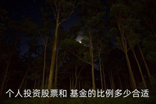 個(gè)人投資股票和 基金的比例多少合適