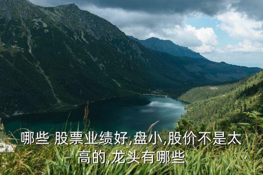 哪些 股票業(yè)績好,盤小,股價(jià)不是太高的,龍頭有哪些