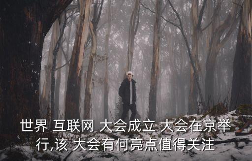 世界 互聯(lián)網(wǎng) 大會成立 大會在京舉行,該 大會有何亮點(diǎn)值得關(guān)注