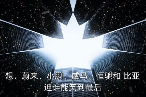 想、蔚來(lái)、小鵬、威馬、恒馳和 比亞迪誰(shuí)能笑到最后
