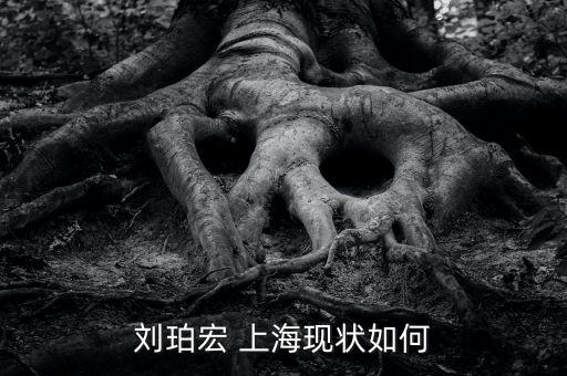 劉珀宏 上?，F(xiàn)狀如何