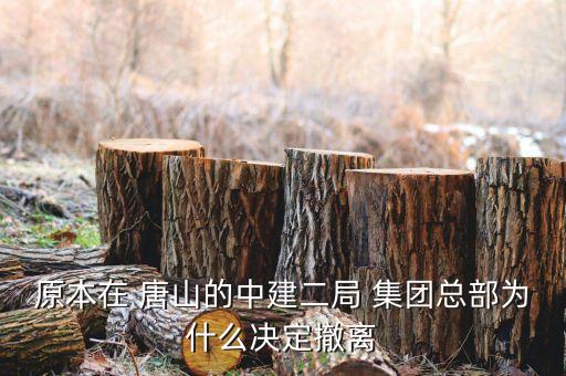 唐山重裝集團重組,唐山藍貓集團重組成功了嗎