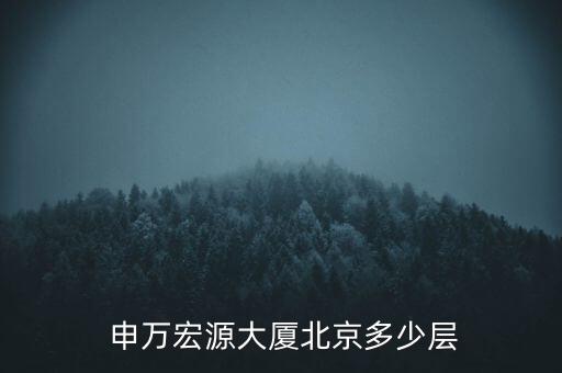  申萬(wàn)宏源大廈北京多少層