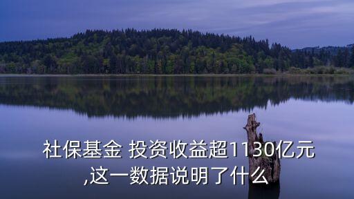  社?；?投資收益超1130億元,這一數(shù)據(jù)說明了什么