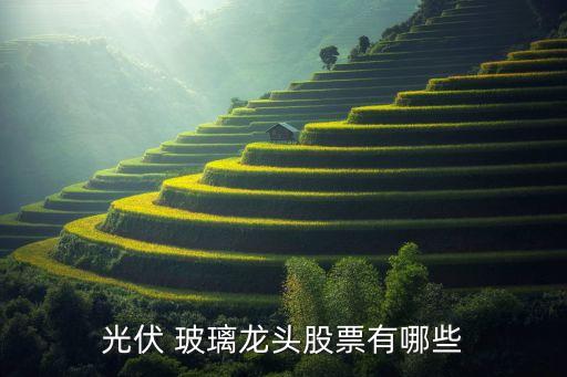 上海福萊特玻璃,福萊特玻璃集團公司地址