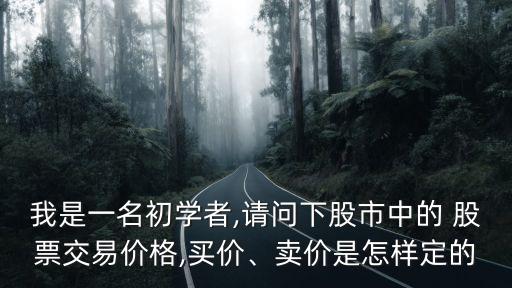 我是一名初學(xué)者,請問下股市中的 股票交易價(jià)格,買價(jià)、賣價(jià)是怎樣定的