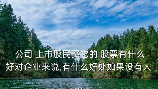  公司 上市股民買它的 股票有什么好對(duì)企業(yè)來(lái)說(shuō),有什么好處如果沒(méi)有人...