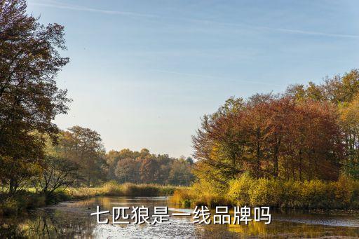  七匹狼是一線(xiàn)品牌嗎
