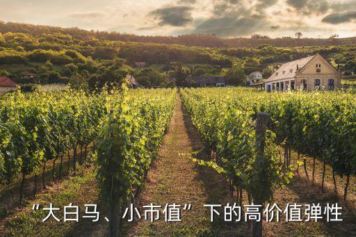 “大白馬、小市值”下的高價(jià)值彈性