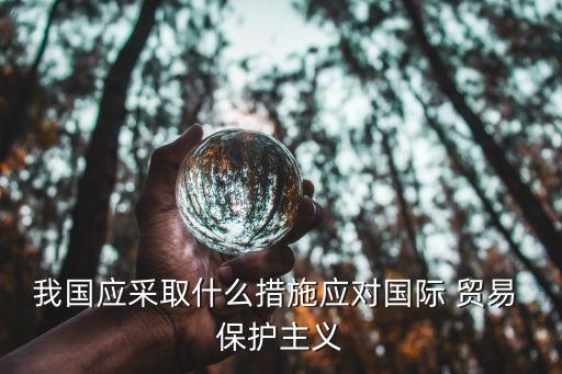 我國(guó)應(yīng)采取什么措施應(yīng)對(duì)國(guó)際 貿(mào)易 保護(hù)主義