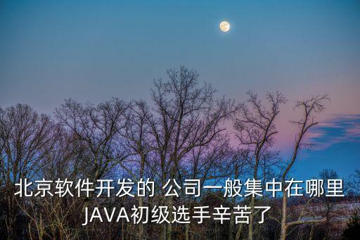 北京軟件開發(fā)的 公司一般集中在哪里JAVA初級(jí)選手辛苦了