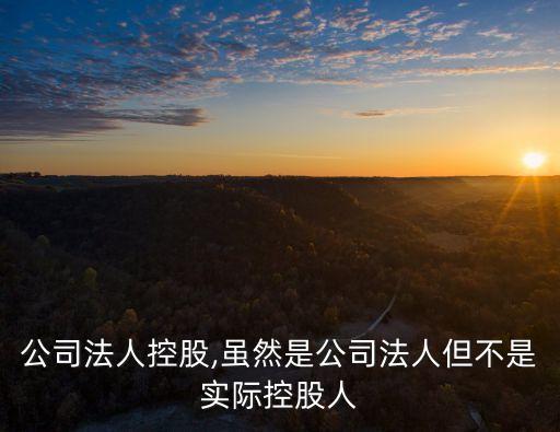 關于公司法人控股,雖然是公司法人但不是實際控股人