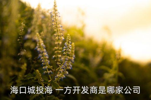 ?？诔峭逗?一方開(kāi)發(fā)商是哪家公司