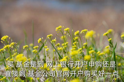 買 基金是到 網上銀行開戶申購還是直接到 基金公司官網開戶購買好一點