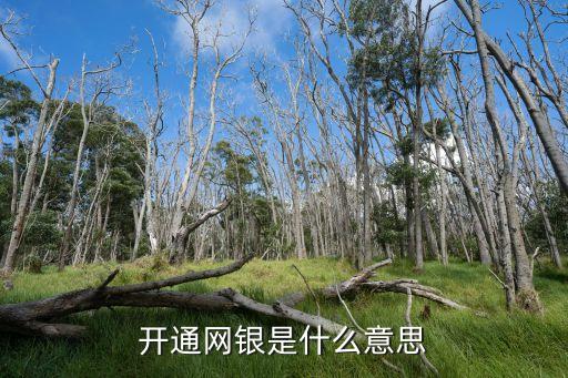 開通網銀是什么意思