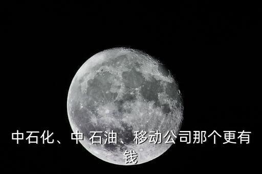中石化、中 石油、移動公司那個更有錢